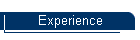 Experience