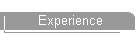 Experience