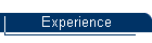 Experience